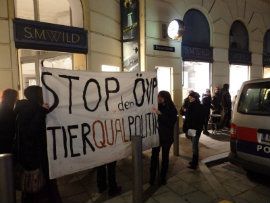 Demo Linz